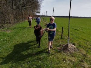 Foto's KIDS bezoek aan Heierhof struisvogel en ezelboerderij April 2018